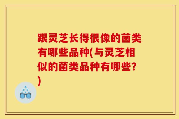 跟灵芝长得很像的菌类有哪些品种(与灵芝相似的菌类品种有哪些?)-第1张图片-灵芝之家 跟灵芝长得很像的菌类有哪些品种(与灵芝相似的菌类品种有哪些?)-第1张图片-灵芝之家