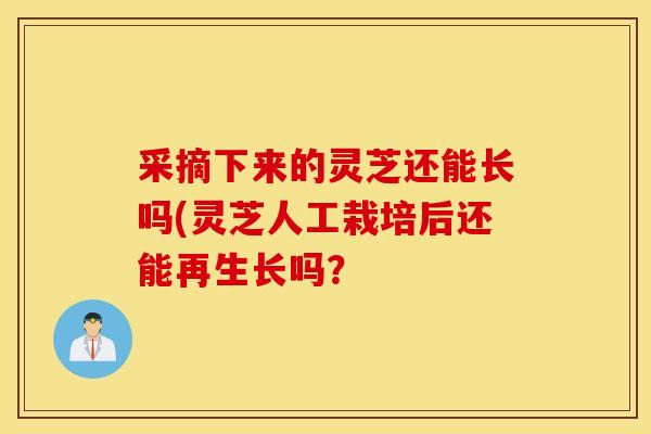 采摘下来的灵芝还能长吗(灵芝人工栽培后还能再生长吗?-第1张图片-灵芝之家 采摘下来的灵芝还能长吗(灵芝人工栽培后还能再生长吗?-第1张图片-灵芝之家