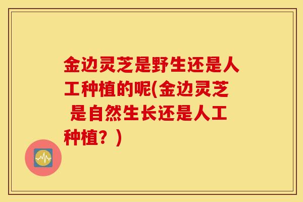 金边灵芝是野生还是人工种植的呢(金边灵芝 是自然生长还是人工种植?)-第1张图片-灵芝之家 金边灵芝是野生还是人工种植的呢(金边灵芝 是自然生长还是人工种植?)-第1张图片-灵芝之家
