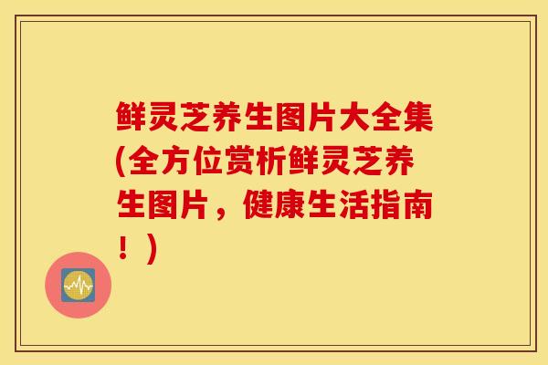 鲜灵芝养生图片大全集(全方位赏析鲜灵芝养生图片,健康生活指南!)-第1张图片-灵芝之家 鲜灵芝养生图片大全集(全方位赏析鲜灵芝养生图片,健康生活指南!)-第1张图片-灵芝之家