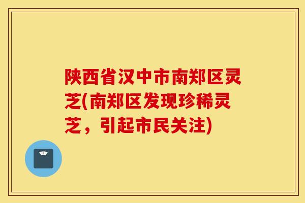 陕西省汉中市南郑区灵芝(南郑区发现珍稀灵芝,引起市民关注)-第1张图片-灵芝之家 陕西省汉中市南郑区灵芝(南郑区发现珍稀灵芝,引起市民关注)-第1张图片-灵芝之家