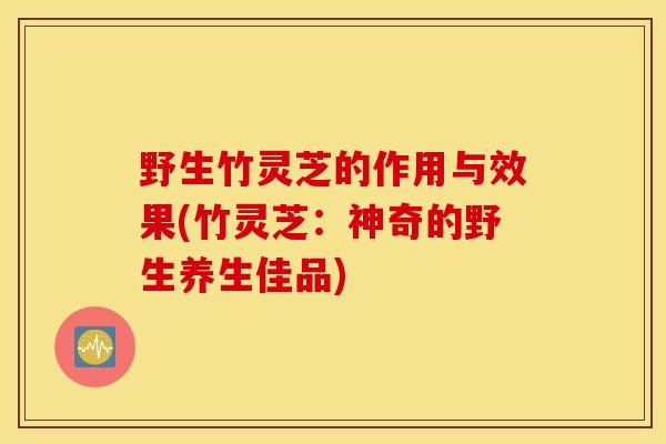 野生竹灵芝的作用与效果(竹灵芝:神奇的野生养生佳品)-第1张图片-灵芝之家 野生竹灵芝的作用与效果(竹灵芝:神奇的野生养生佳品)-第1张图片-灵芝之家