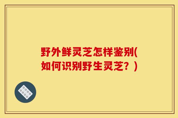 野外鲜灵芝怎样鉴别(如何识别野生灵芝?)-第1张图片-灵芝之家 野外鲜灵芝怎样鉴别(如何识别野生灵芝?)-第1张图片-灵芝之家