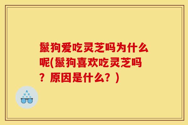 鬣狗爱吃灵芝吗为什么呢(鬣狗喜欢吃灵芝吗？原因是什么？)-第1张图片-灵芝之家