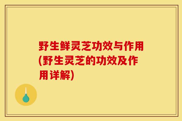 野生鲜灵芝功效与作用(野生灵芝的功效及作用详解)-第1张图片-灵芝之家 野生鲜灵芝功效与作用(野生灵芝的功效及作用详解)-第1张图片-灵芝之家