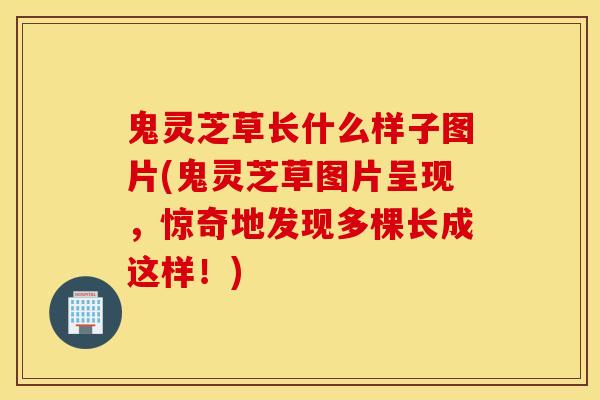 鬼灵芝草长什么样子图片(鬼灵芝草图片呈现，惊奇地发现多棵长成这样！)-第1张图片-灵芝之家