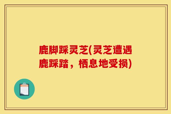 鹿脚踩灵芝(灵芝遭遇鹿踩踏,栖息地受损)-第1张图片-灵芝之家 鹿脚踩灵芝(灵芝遭遇鹿踩踏,栖息地受损)-第1张图片-灵芝之家
