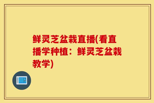 鲜灵芝盆栽直播(看直播学种植:鲜灵芝盆栽教学)-第1张图片-灵芝之家 鲜灵芝盆栽直播(看直播学种植:鲜灵芝盆栽教学)-第1张图片-灵芝之家
