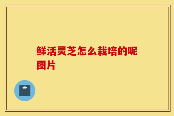 鲜活灵芝怎么栽培的呢图片-第1张图片-灵芝之家