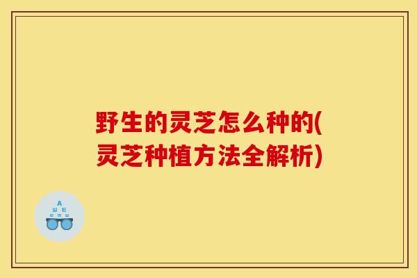 野生的灵芝怎么种的(灵芝种植方法全解析)-第1张图片-灵芝之家 野生的灵芝怎么种的(灵芝种植方法全解析)-第1张图片-灵芝之家