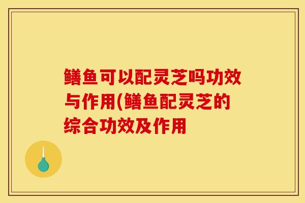 鳝鱼可以配灵芝吗功效与作用(鳝鱼配灵芝的综合功效及作用-第1张图片-灵芝之家 鳝鱼可以配灵芝吗功效与作用(鳝鱼配灵芝的综合功效及作用-第1张图片-灵芝之家