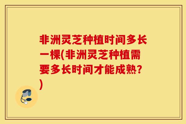 非洲灵芝种植时间多长一棵(非洲灵芝种植需要多长时间才能成熟?)-第1张图片-灵芝之家 非洲灵芝种植时间多长一棵(非洲灵芝种植需要多长时间才能成熟?)-第1张图片-灵芝之家