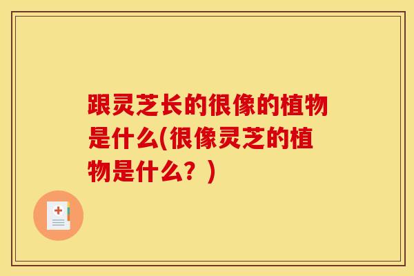 跟灵芝长的很像的植物是什么(很像灵芝的植物是什么?)-第1张图片-灵芝之家 跟灵芝长的很像的植物是什么(很像灵芝的植物是什么?)-第1张图片-灵芝之家