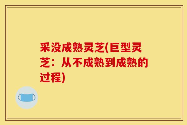 采没成熟灵芝(巨型灵芝:从不成熟到成熟的过程)-第1张图片-灵芝之家 采没成熟灵芝(巨型灵芝:从不成熟到成熟的过程)-第1张图片-灵芝之家