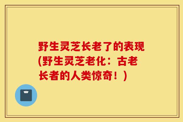 野生灵芝长老了的表现(野生灵芝老化：古老长者的人类惊奇！)-第1张图片-灵芝之家