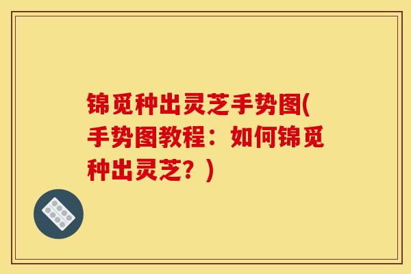 锦觅种出灵芝手势图(手势图教程:如何锦觅种出灵芝?)-第1张图片-灵芝之家 锦觅种出灵芝手势图(手势图教程:如何锦觅种出灵芝?)-第1张图片-灵芝之家