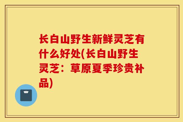 长白山野生新鲜灵芝有什么好处(长白山野生灵芝:草原夏季珍贵补品)-第1张图片-灵芝之家 长白山野生新鲜灵芝有什么好处(长白山野生灵芝:草原夏季珍贵补品)-第1张图片-灵芝之家