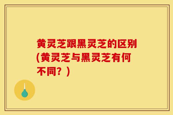 黄灵芝跟黑灵芝的区别(黄灵芝与黑灵芝有何不同？)-第1张图片-灵芝之家