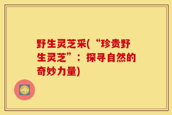野生灵芝采(“珍贵野生灵芝”：探寻自然的奇妙力量)-第1张图片-灵芝之家