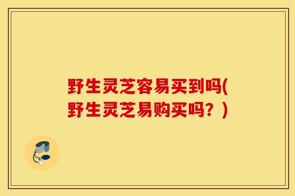 野生灵芝容易买到吗(野生灵芝易购买吗？)-第1张图片-灵芝之家