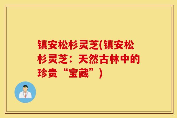 镇安松杉灵芝(镇安松杉灵芝：天然古林中的珍贵“宝藏”)-第1张图片-灵芝之家