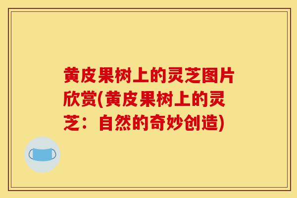 黄皮果树上的灵芝图片欣赏(黄皮果树上的灵芝:自然的奇妙创造)-第1张图片-灵芝之家 黄皮果树上的灵芝图片欣赏(黄皮果树上的灵芝:自然的奇妙创造)-第1张图片-灵芝之家