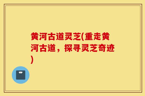 黄河古道灵芝(重走黄河古道,探寻灵芝奇迹)-第1张图片-灵芝之家 黄河古道灵芝(重走黄河古道,探寻灵芝奇迹)-第1张图片-灵芝之家