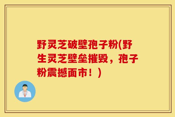 野灵芝破壁孢子粉(野生灵芝壁垒摧毁,孢子粉震撼面市!)-第1张图片-灵芝之家 野灵芝破壁孢子粉(野生灵芝壁垒摧毁,孢子粉震撼面市!)-第1张图片-灵芝之家