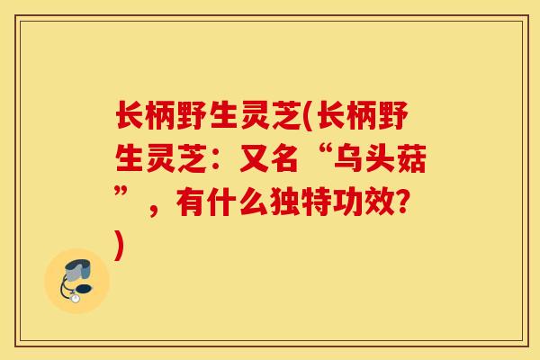 长柄野生灵芝(长柄野生灵芝:又名“乌头菇”,有什么独特功效?)-第1张图片-灵芝之家 长柄野生灵芝(长柄野生灵芝:又名“乌头菇”,有什么独特功效?)-第1张图片-灵芝之家