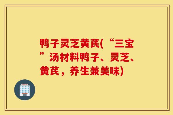 鸭子灵芝黄芪(“三宝”汤材料鸭子、灵芝、黄芪,养生兼美味)-第1张图片-灵芝之家 鸭子灵芝黄芪(“三宝”汤材料鸭子、灵芝、黄芪,养生兼美味)-第1张图片-灵芝之家