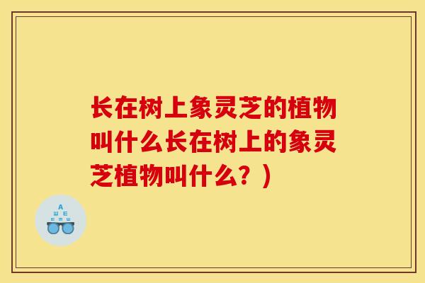 长在树上象灵芝的植物叫什么长在树上的象灵芝植物叫什么?)-第1张图片-灵芝之家 长在树上象灵芝的植物叫什么长在树上的象灵芝植物叫什么?)-第1张图片-灵芝之家