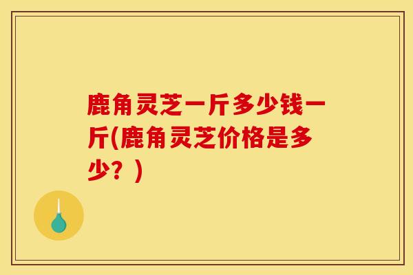 鹿角灵芝一斤多少钱一斤(鹿角灵芝价格是多少?)-第1张图片-灵芝之家 鹿角灵芝一斤多少钱一斤(鹿角灵芝价格是多少?)-第1张图片-灵芝之家