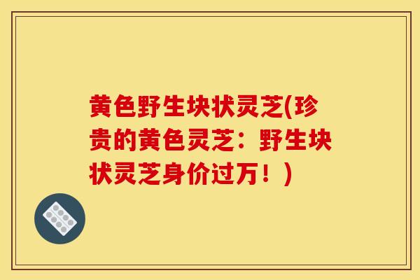 黄色野生块状灵芝(珍贵的黄色灵芝:野生块状灵芝身价过万!)-第1张图片-灵芝之家 黄色野生块状灵芝(珍贵的黄色灵芝:野生块状灵芝身价过万!)-第1张图片-灵芝之家