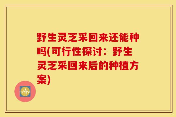 野生灵芝采回来还能种吗(可行性探讨:野生灵芝采回来后的种植方案)-第1张图片-灵芝之家 野生灵芝采回来还能种吗(可行性探讨:野生灵芝采回来后的种植方案)-第1张图片-灵芝之家