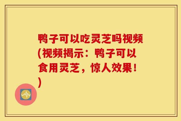 鸭子可以吃灵芝吗视频(视频揭示:鸭子可以食用灵芝,惊人效果!)-第1张图片-灵芝之家 鸭子可以吃灵芝吗视频(视频揭示:鸭子可以食用灵芝,惊人效果!)-第1张图片-灵芝之家