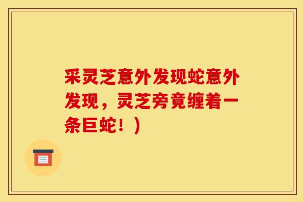 采灵芝意外发现蛇意外发现，灵芝旁竟缠着一条巨蛇！)-第1张图片-灵芝之家