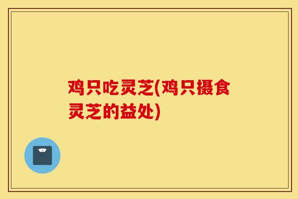 鸡只吃灵芝(鸡只摄食灵芝的益处)-第1张图片-灵芝之家 鸡只吃灵芝(鸡只摄食灵芝的益处)-第1张图片-灵芝之家
