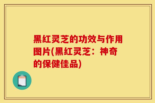 黑红灵芝的功效与作用图片(黑红灵芝:神奇的保健佳品)-第1张图片-灵芝之家 黑红灵芝的功效与作用图片(黑红灵芝:神奇的保健佳品)-第1张图片-灵芝之家