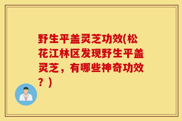 野生平盖灵芝功效(松花江林区发现野生平盖灵芝,有哪些神奇功效?)-第1张图片-灵芝之家 野生平盖灵芝功效(松花江林区发现野生平盖灵芝,有哪些神奇功效?)-第1张图片-灵芝之家