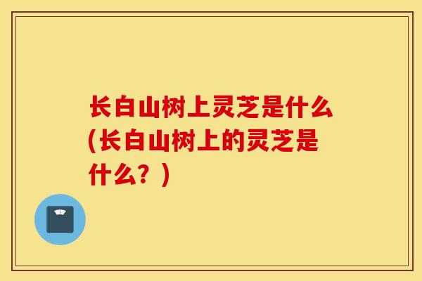 长白山树上灵芝是什么(长白山树上的灵芝是什么?)-第1张图片-灵芝之家 长白山树上灵芝是什么(长白山树上的灵芝是什么?)-第1张图片-灵芝之家