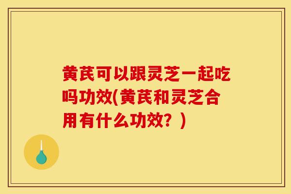 黄芪可以跟灵芝一起吃吗功效(黄芪和灵芝合用有什么功效?)-第1张图片-灵芝之家 黄芪可以跟灵芝一起吃吗功效(黄芪和灵芝合用有什么功效?)-第1张图片-灵芝之家