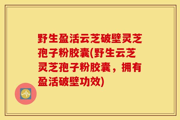 野生盈活云芝破壁灵芝孢子粉胶囊(野生云芝灵芝孢子粉胶囊，拥有盈活破壁功效)-第1张图片-灵芝之家