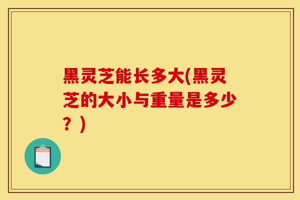 黑灵芝能长多大(黑灵芝的大小与重量是多少?)-第1张图片-灵芝之家 黑灵芝能长多大(黑灵芝的大小与重量是多少?)-第1张图片-灵芝之家