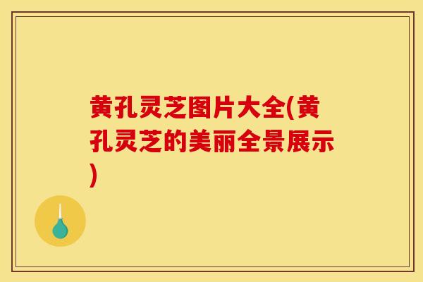 黄孔灵芝图片大全(黄孔灵芝的美丽全景展示)-第1张图片-灵芝之家 黄孔灵芝图片大全(黄孔灵芝的美丽全景展示)-第1张图片-灵芝之家