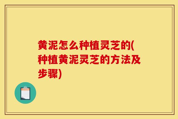黄泥怎么种植灵芝的(种植黄泥灵芝的方法及步骤)-第1张图片-灵芝之家