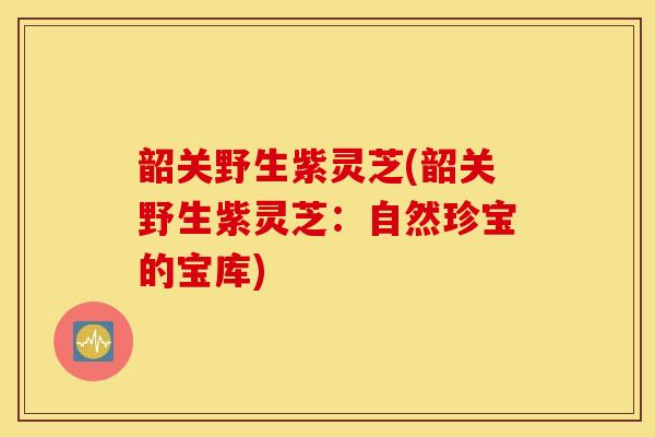 韶关野生紫灵芝(韶关野生紫灵芝:自然珍宝的宝库)-第1张图片-灵芝之家 韶关野生紫灵芝(韶关野生紫灵芝:自然珍宝的宝库)-第1张图片-灵芝之家