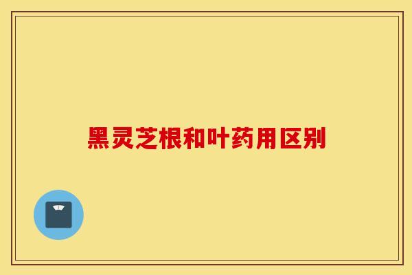 黑灵芝根和叶药用区别-第1张图片-灵芝之家