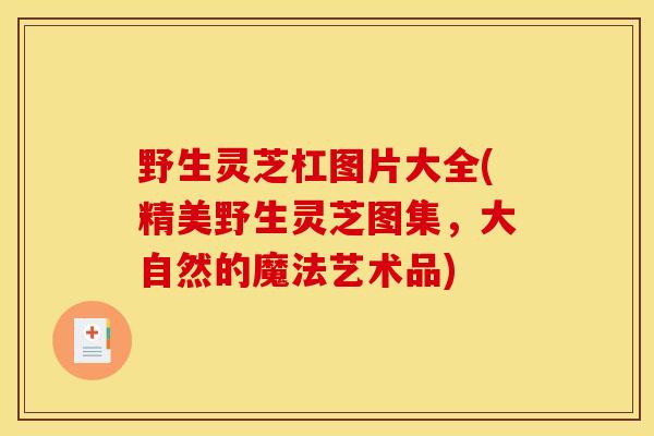 野生灵芝杠图片大全(精美野生灵芝图集，大自然的魔法艺术品)-第1张图片-灵芝之家
