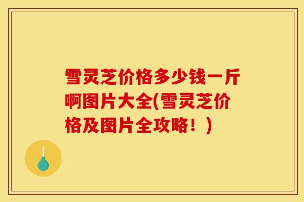 雪灵芝价格多少钱一斤啊图片大全(雪灵芝价格及图片全攻略!)-第1张图片-灵芝之家 雪灵芝价格多少钱一斤啊图片大全(雪灵芝价格及图片全攻略!)-第1张图片-灵芝之家
