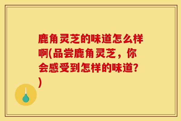 鹿角灵芝的味道怎么样啊(品尝鹿角灵芝,你会感受到怎样的味道?)-第1张图片-灵芝之家 鹿角灵芝的味道怎么样啊(品尝鹿角灵芝,你会感受到怎样的味道?)-第1张图片-灵芝之家